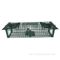 Whit Bird Cage Animal Vive Trap A Birdcagetrap